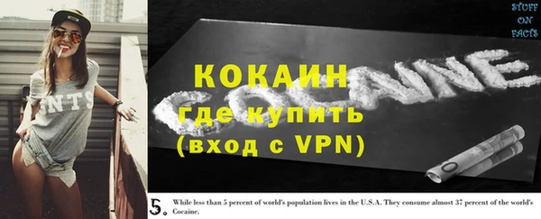 дживик Бронницы